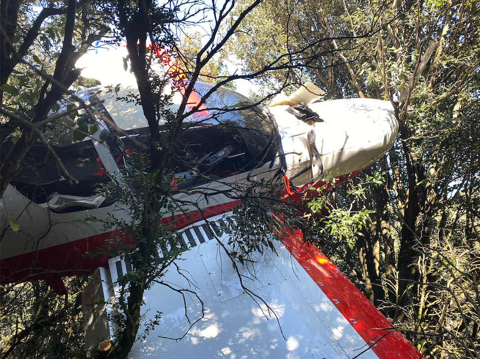 Avion dans l'arbre